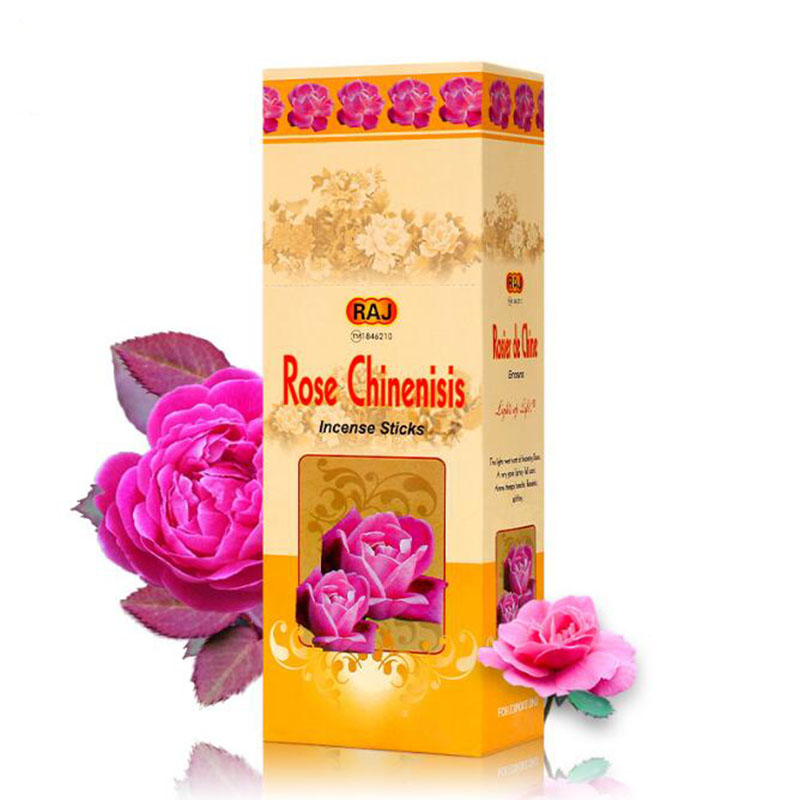 الهند المستوردة روز Chinensis  - مراجعة Candle Supplies India وسعره